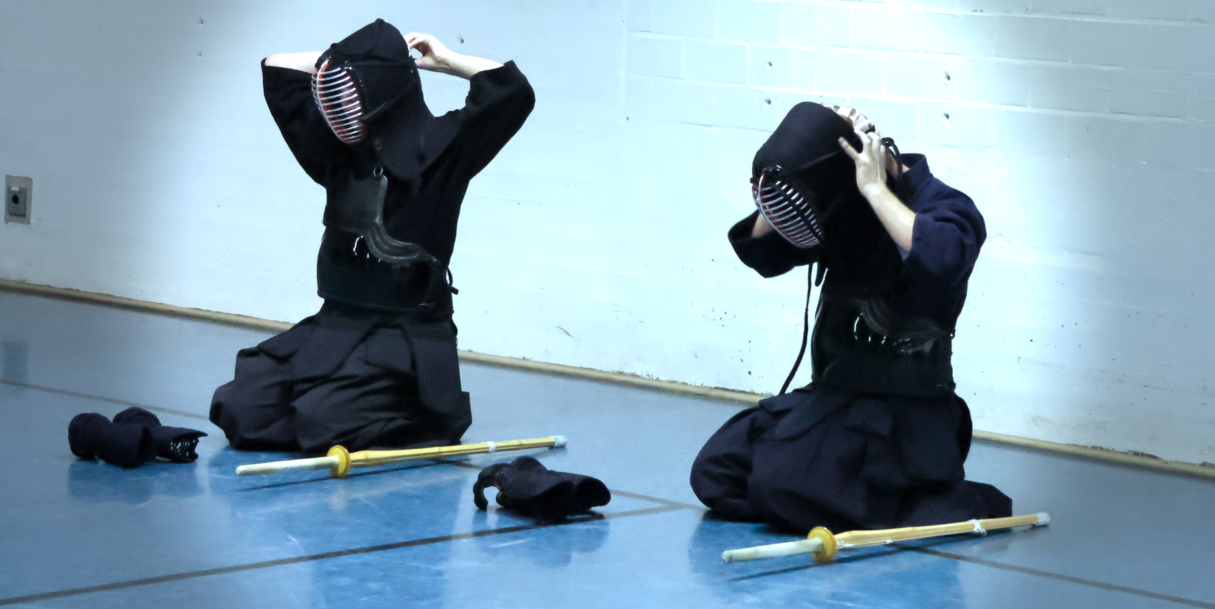 Kendo Training - Bogu